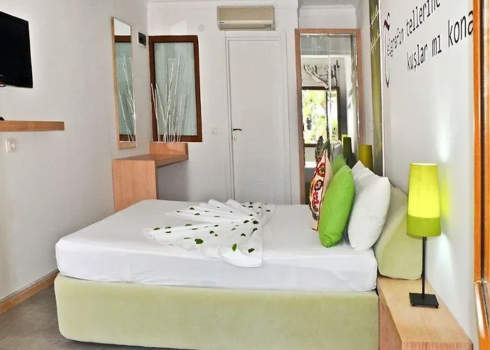 Cherry טורגוטריס